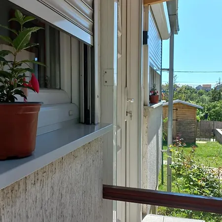 ꕤ Comfy ꕤ - Make Yourself At Belgrad