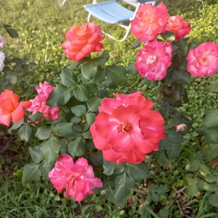 ꕤ Comfy ꕤ - Make Yourself At