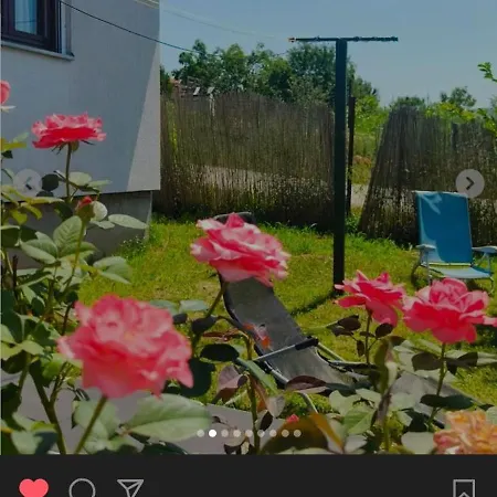 Villa ꕤ Comfy ꕤ - Make Yourself At *