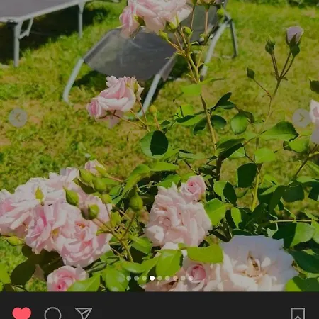 Vilă ꕤ Comfy ꕤ - Make Yourself At *