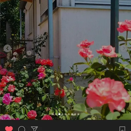 Vilă ꕤ Comfy ꕤ - Make Yourself At *