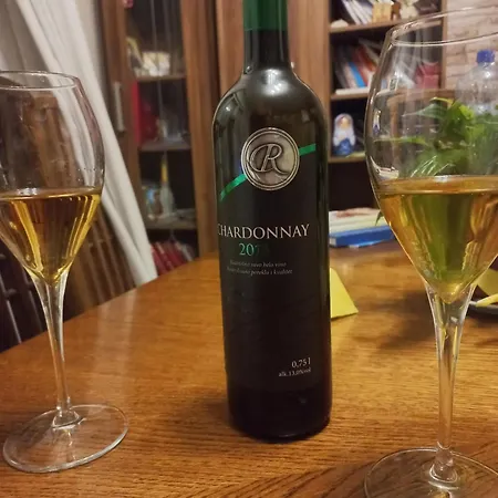 Villa ꕤ Comfy ꕤ - Make Yourself At Belgrade