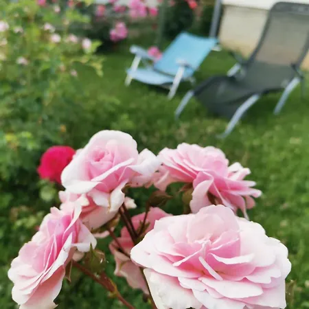 ꕤ Comfy ꕤ - Make Yourself At