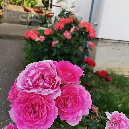 Villa ꕤ Comfy ꕤ - Make Yourself At