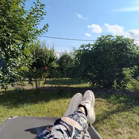 ꕤ Comfy ꕤ - Make Yourself At *