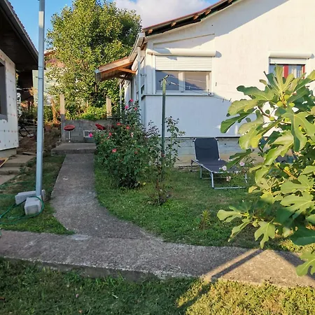 ꕤ Comfy ꕤ - Make Yourself At *