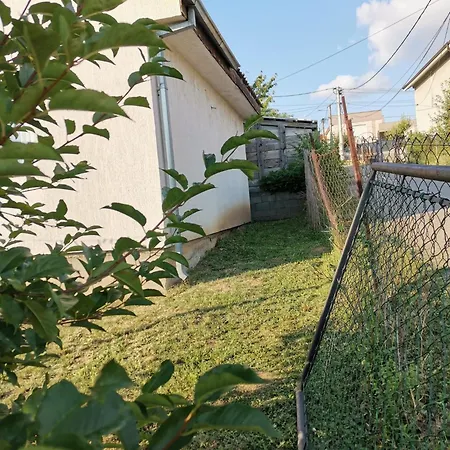 Vilă ꕤ Comfy ꕤ - Make Yourself At *