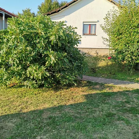 ꕤ Comfy ꕤ - Make Yourself At *