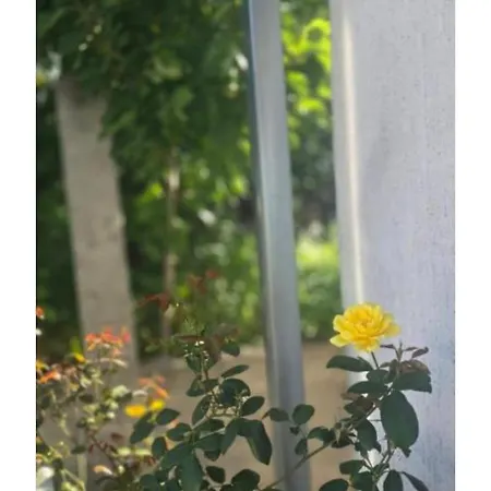 ꕤ Comfy ꕤ - Make Yourself At