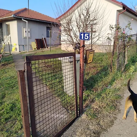 Villa ꕤ Comfy ꕤ - Make Yourself At Belgrado