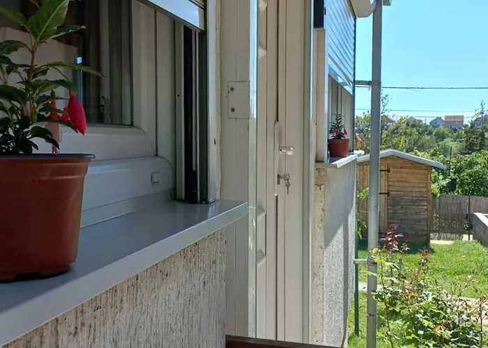 ꕤ Comfy ꕤ - Make Yourself At Belgrade