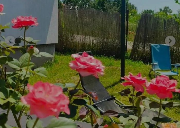 Villa ꕤ Comfy ꕤ - Make Yourself At *