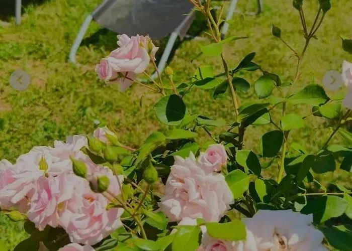 Villa ꕤ Comfy ꕤ - Make Yourself At *