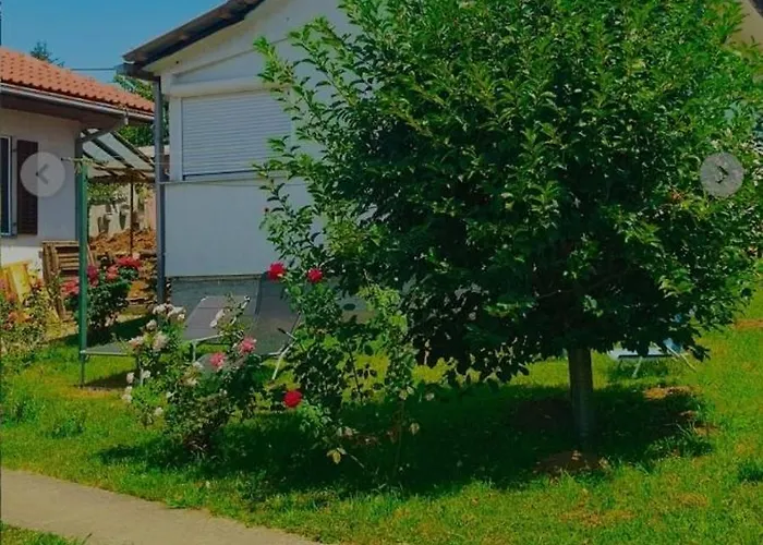 ꕤ Comfy ꕤ - Make Yourself At *