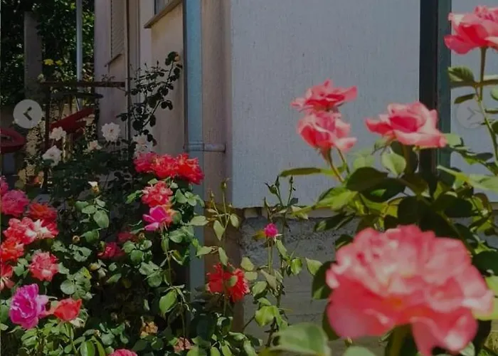 Villa ꕤ Comfy ꕤ - Make Yourself At *