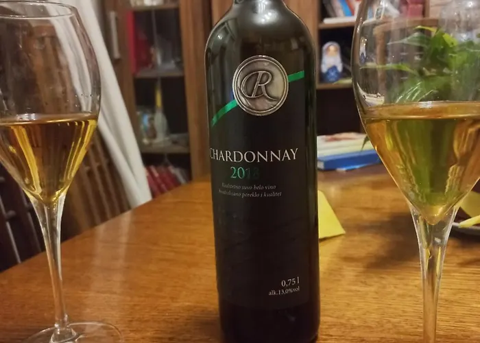 Villa ꕤ Comfy ꕤ - Make Yourself At Belgrade