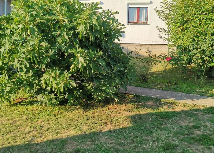 ꕤ Comfy ꕤ - Make Yourself At *