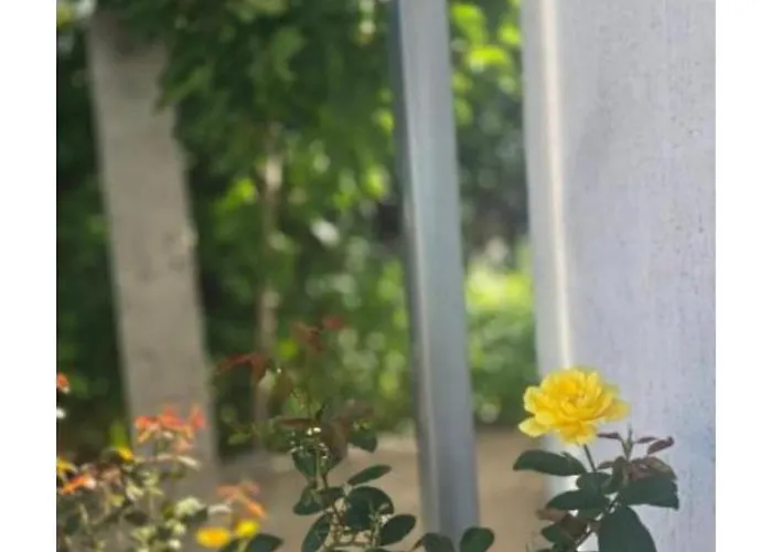 ꕤ Comfy ꕤ - Make Yourself At