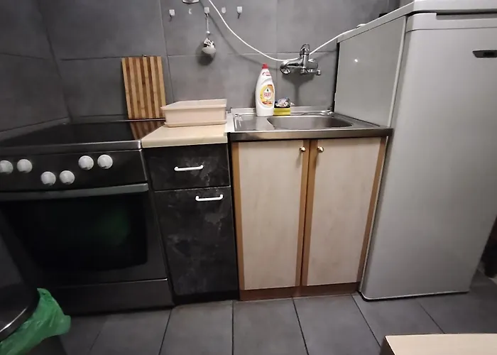 ꕤ Comfy ꕤ - Make Yourself At * Belgrade