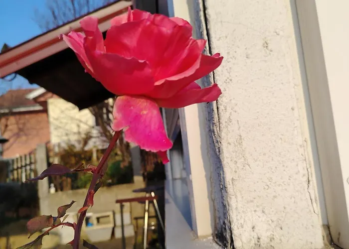 ꕤ Comfy ꕤ - Make Yourself At